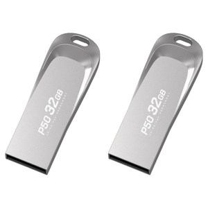 PLEIGO USB 메모리 P50, 32GB, 2개
